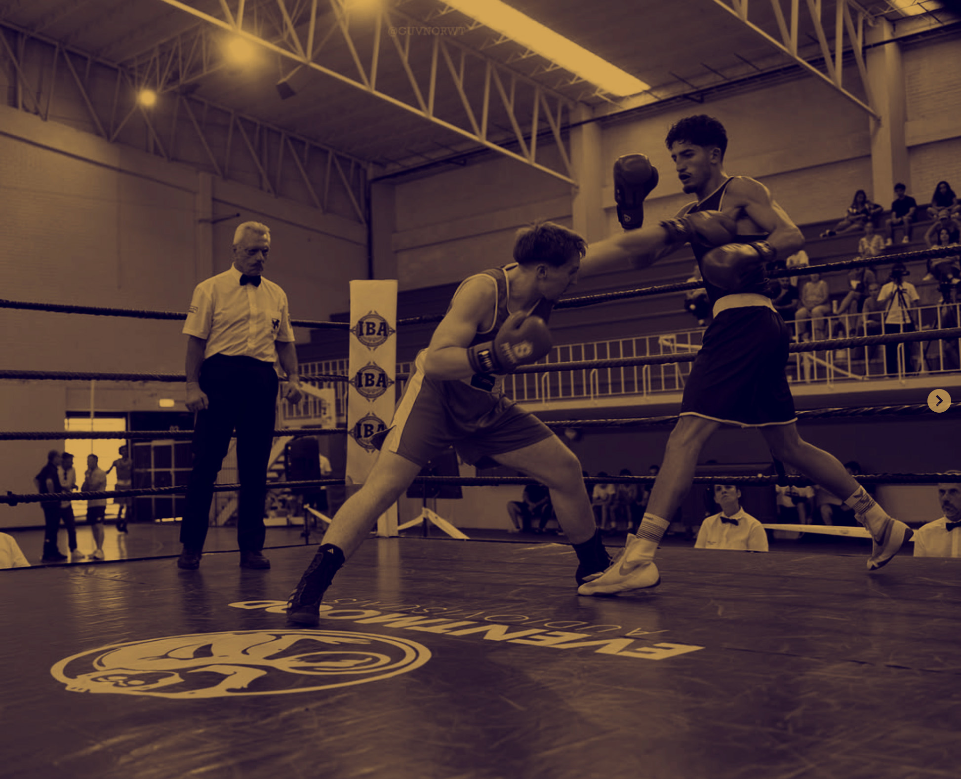 Ligação para a página da Jorge Pina Boxing team